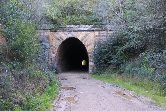 mushroom-tunnel4