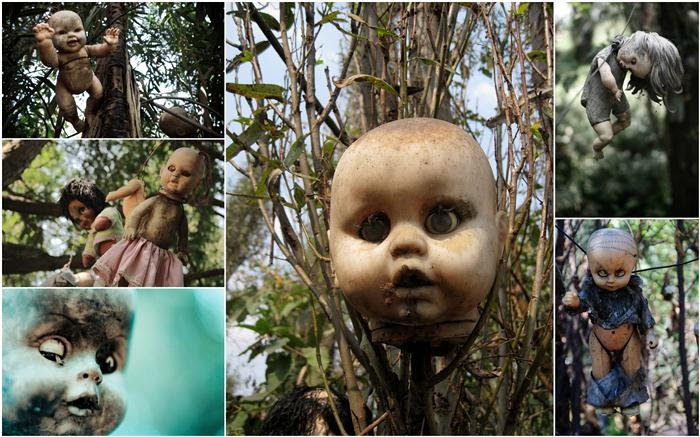 Island Of The Dolls: Mexico's Creepiest Place | Amusing Planet