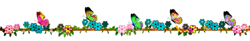 butterflyborder.png