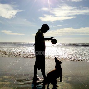 Canine. by Harshin Lalpet - Animals - Dogs Playing