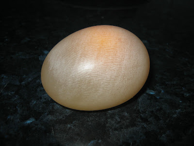 Resultado de imagen de huevo que bota