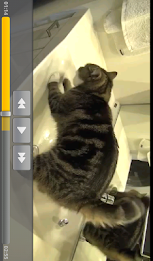 Continuous Playback YouTube poster 5