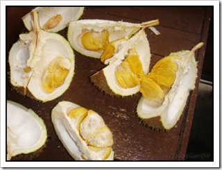 Durian-MYGopeng_20090629_2747-480