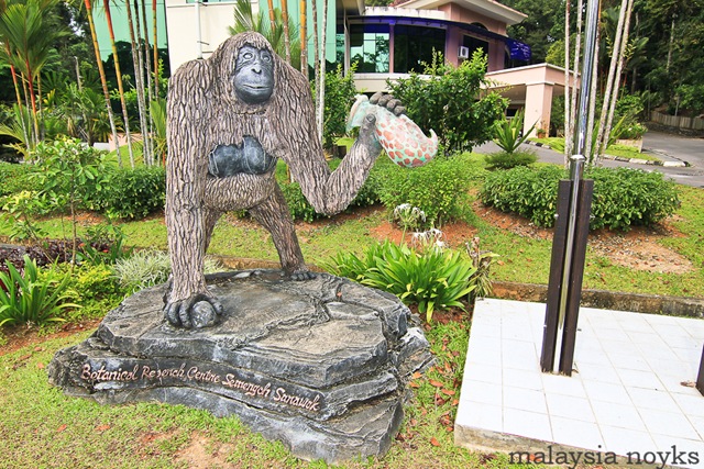 [Semengoh Orangutan Rehabilitation Center 24[4].jpg]