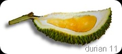 durian16