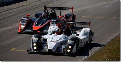 2010_ALMS_FLM_Intersport