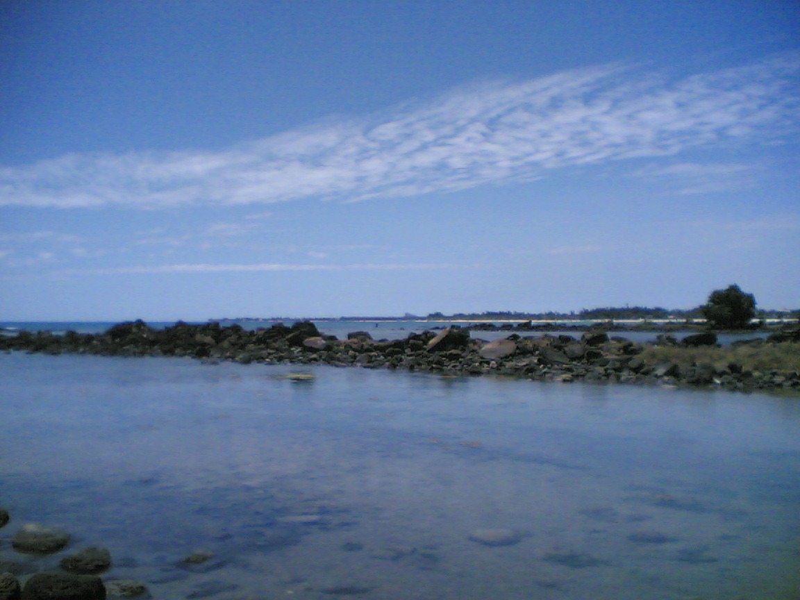 [Image6142.jpg]