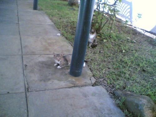 Image(794) Image(794)