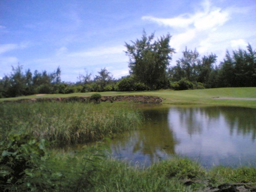 Image(1200) Image(1200)
