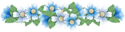 F.png