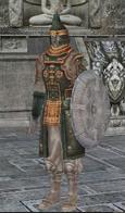 http://lh6.ggpht.com/_avCv3sod1aY/SsIh8_G4lXI/AAAAAAAAAi4/GlDE8ow_qAs/AncientKnightOfficer.JPG