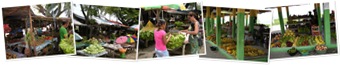 Ver Mercados de Dili