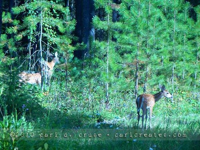 [2010-08-20-17-05-05_wmccruse[2].jpg]