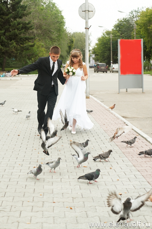 Photographer Elena Volf, фотограф, Барнаул, профессиональный свадебный фотограф Барнаул, свадьба Барнаул