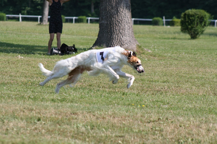 IMG_5961.JPG
