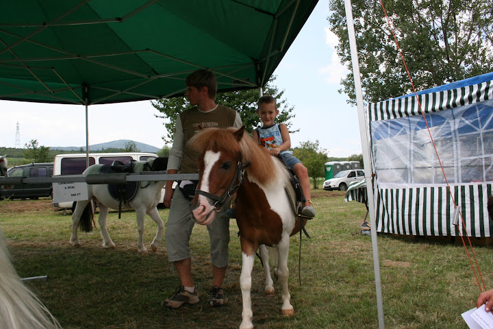 IMG_6610.JPG