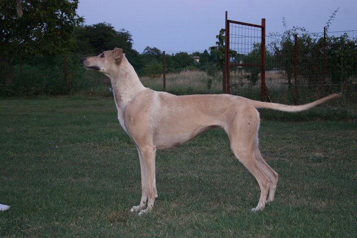IMG_7685.JPG