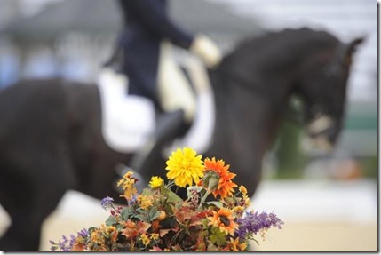 Alltech FEI World Equestrian Games 