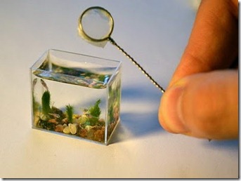 smallest-aquarium1[2]