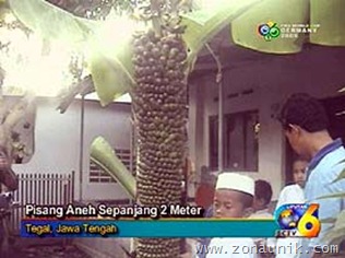 1_190705bPisang