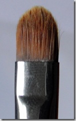 Brush 2