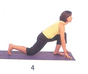 [Yoga tipo 9 mudra 4[4].jpg]