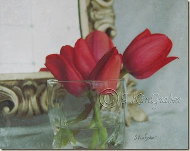 tulipsmirror