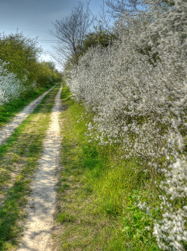 P1080923_17_18_19_20_21_22_tonemapped.jpg