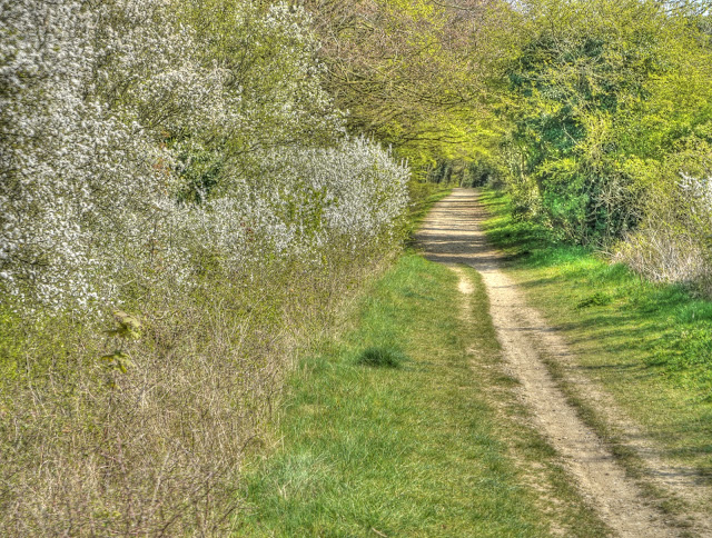 P1080845_39_40_41_42_43_44_tonemapped.jpg