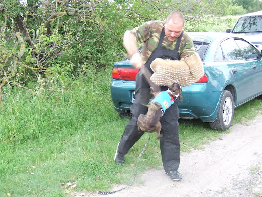 DSCF2601.JPG