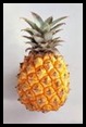 indonesia export pineapple to iran