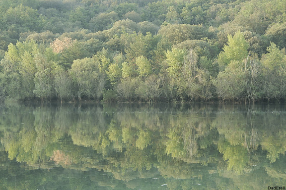Lac Sainte-Croix Provence. Reflets d'arbres