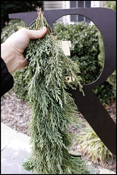 Cedar Wreath