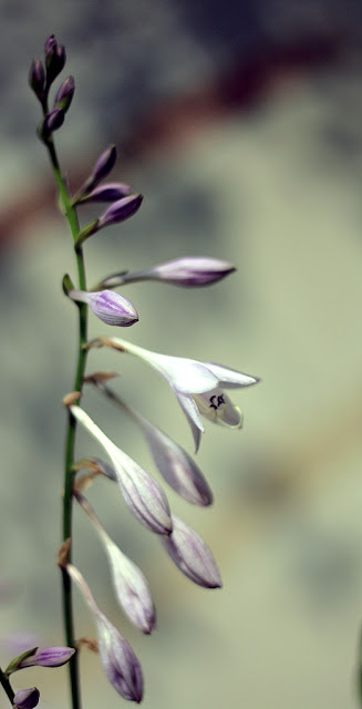 1024_IMG_6236.jpg
