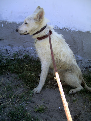 PICT0063.JPG