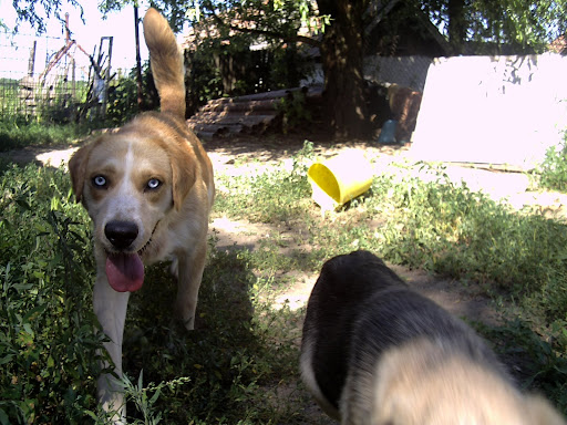 PICT0092.JPG