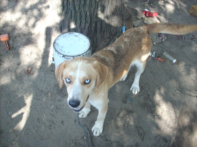 DSCN0141.JPG