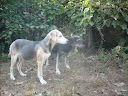 DSCN5708.JPG