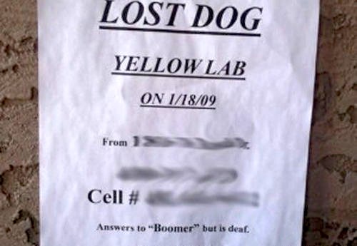 Lost (And Found) Pet Signs Seen On lolpicturegallery.blogspot.com