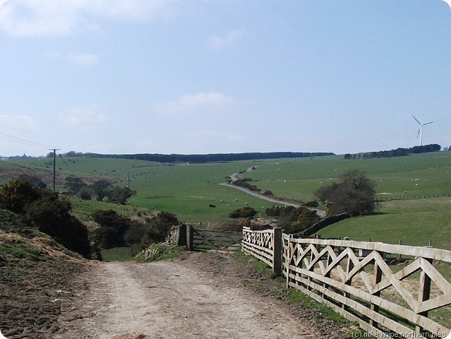 open casted landscape nr tow law