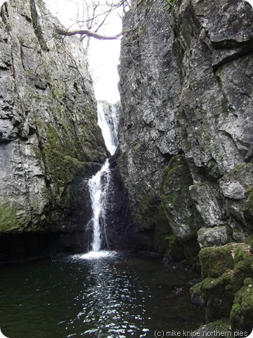 catrigg force
