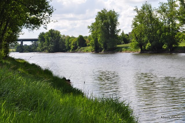 Loire à l&#039;embouchure de l&#039;Aix photo #295