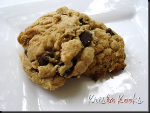 Krista Kooks Peanut Butter Oatmeal Chocolate Chip Cookies 2