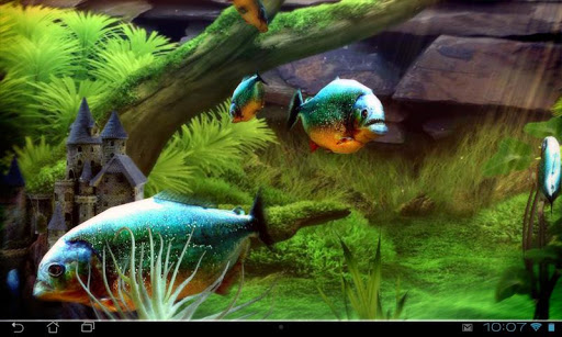 【免費個人化App】Piranha Aquarium 3D lwp-APP點子