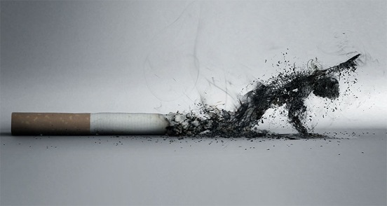 [the-smoking-effect-l[4].jpg]