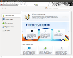 Add-ons Manager - Mozilla Firefox_022