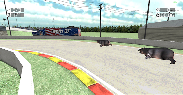 Free Animal Racing : Hippo APK