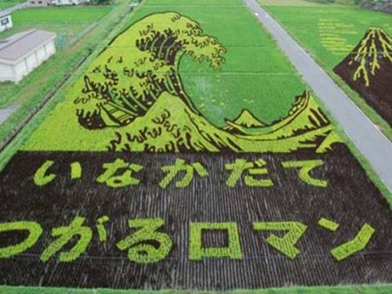 Japan Rice Fields (8)