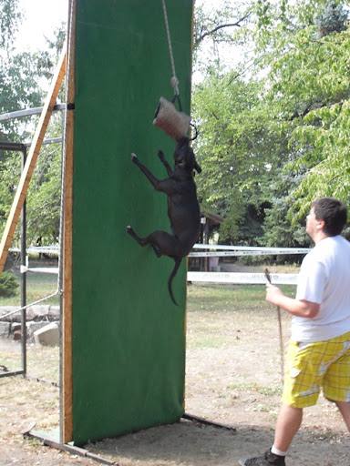 m_093.jpg