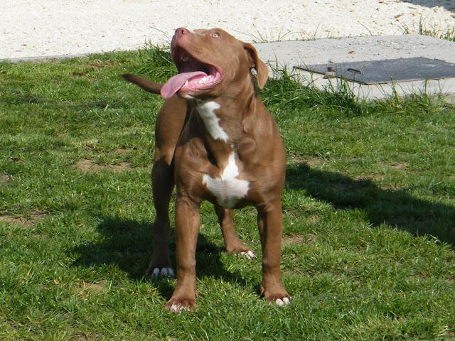 2010%20m%C3%A1rcius%20%C3%A1prilis%20862.jpg